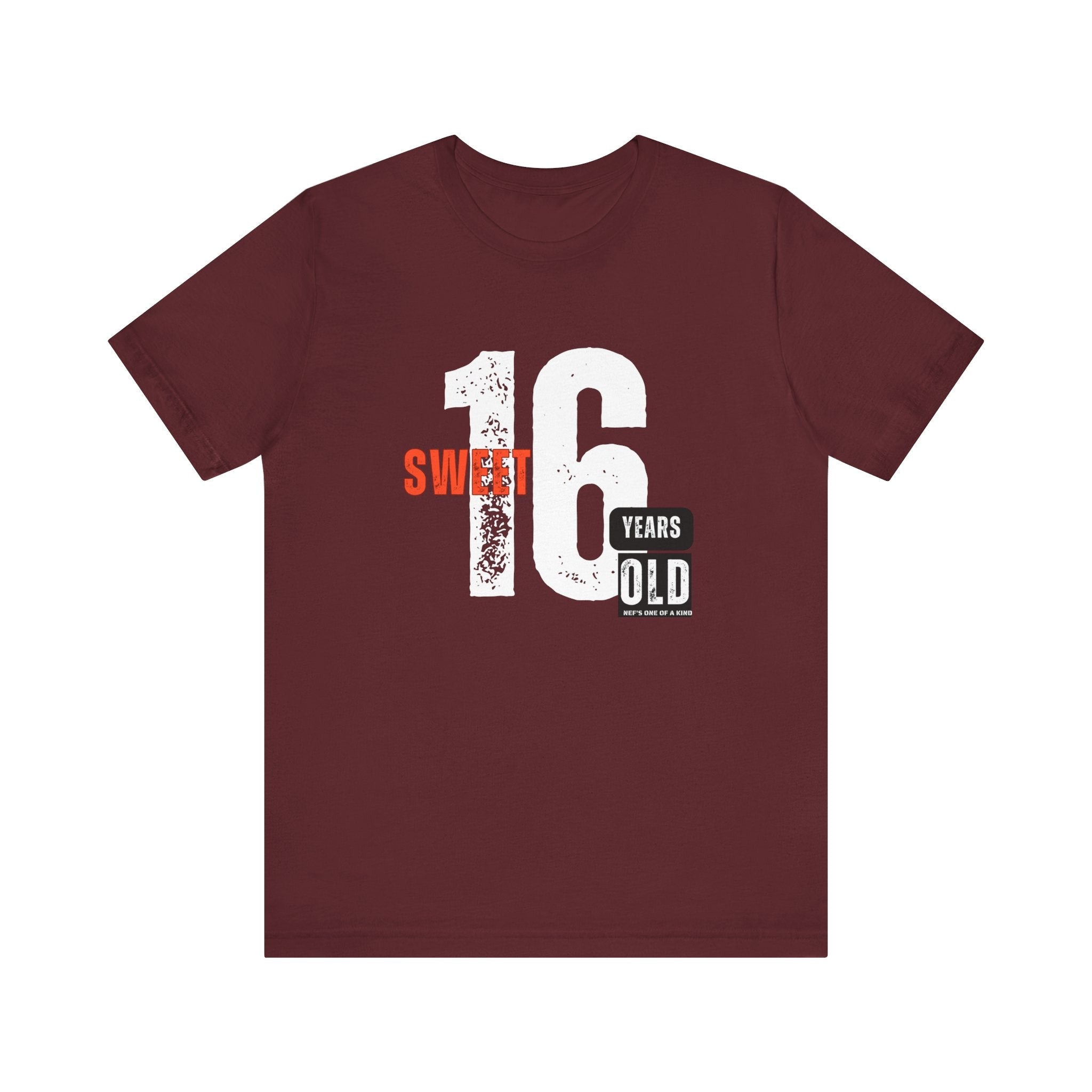 16year Old Unisex Adult Tee